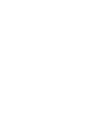 Vector